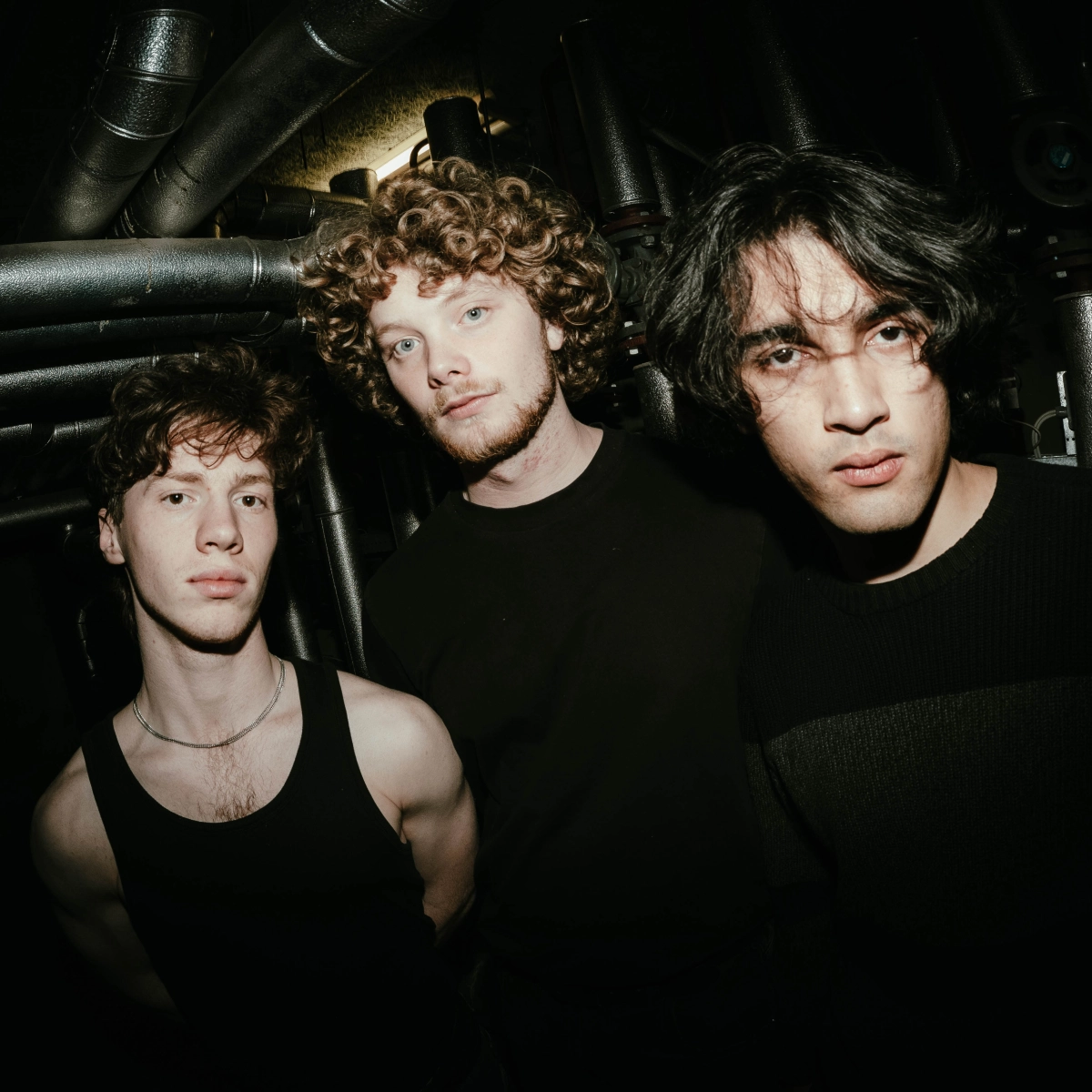 UP: Eyesores + Nose Shop